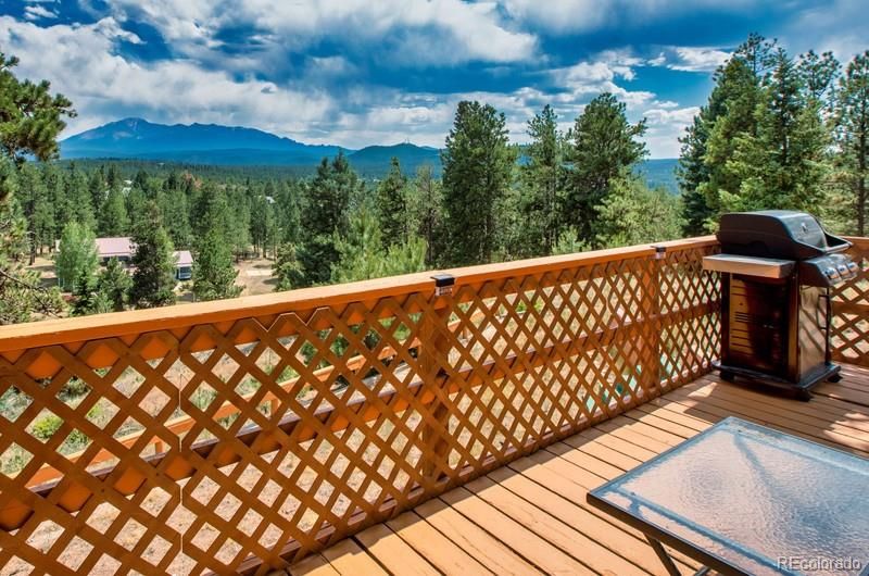 235 Ute Trl, Woodland Park, CO 80863