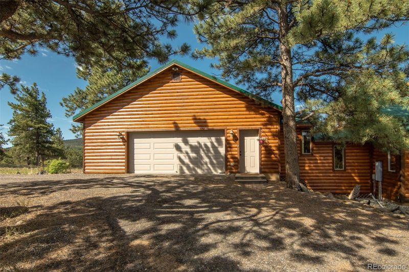 3296 Singletree Rd, Hartsel, CO 80449