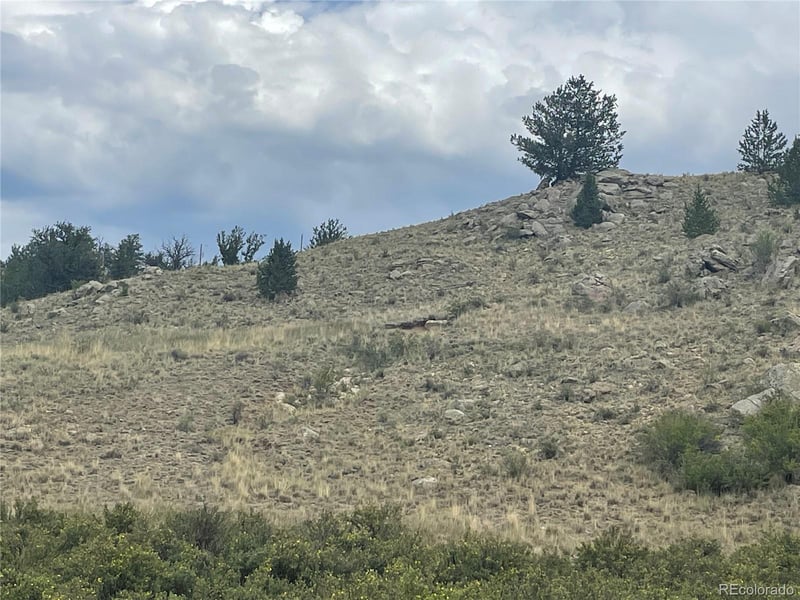 924 Mustang Rd, Como, CO 80432