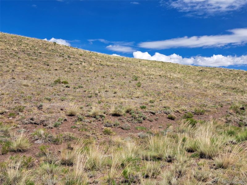 00 Watonga Rd, Hartsel, CO 80449