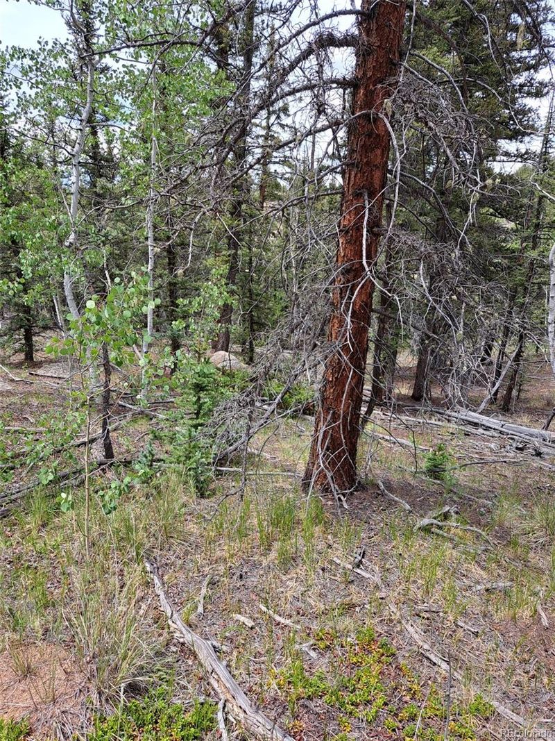 256 Bear Way, Como, CO 80432