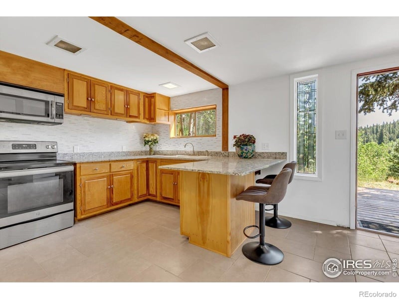 57 Nelson St, Ward, CO 80481