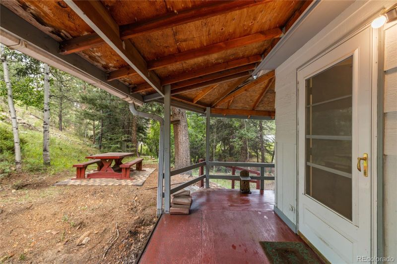 1242 Roland Dr, Bailey, CO 80421