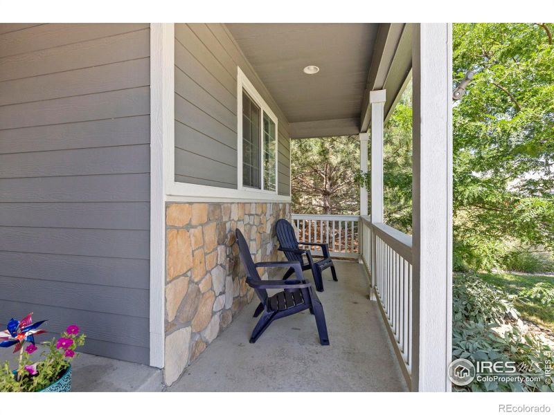 4469 River Run Ln, Wellington, CO 80549