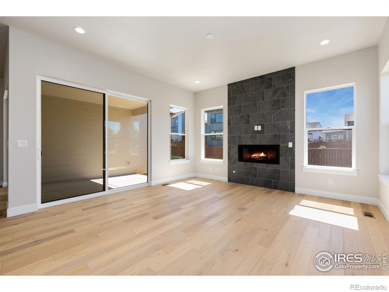 1719 Branching Canopy Dr, Windsor, CO 80550