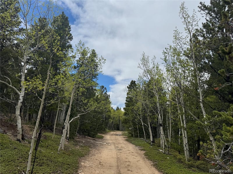 005 Roy Smith Rd, Central City, CO 80427