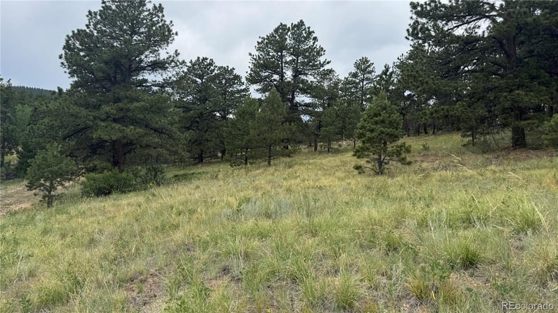 003 Church Placer Rd, Central City, CO 80427