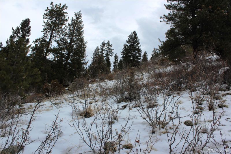 00 Two Brothers Rd Lot 1106, Idaho Springs, CO 80425