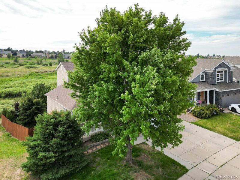 6481 Summer Grace St, Colorado Springs, CO 80923
