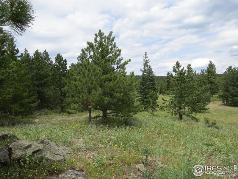 0 Peak To Peak Hw, Nederland, CO 80466