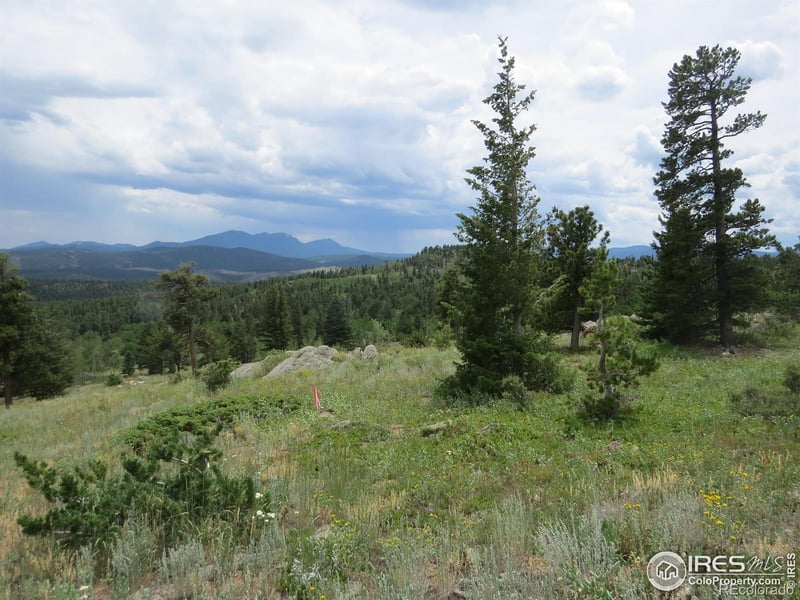 0 Peak To Peak Hw, Nederland, CO 80466