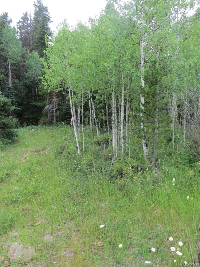 Peak To Peak Hwy, Nederland, CO 80466