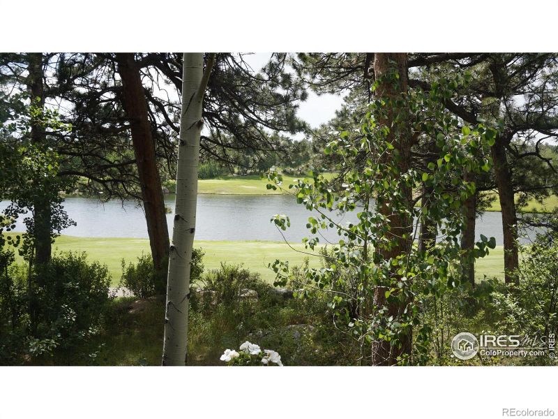 220 Fox Acres Dr W, Red Feather Lakes, CO 80545