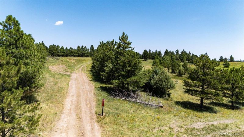 13123 Wilderness Dr, Kiowa, CO 80117
