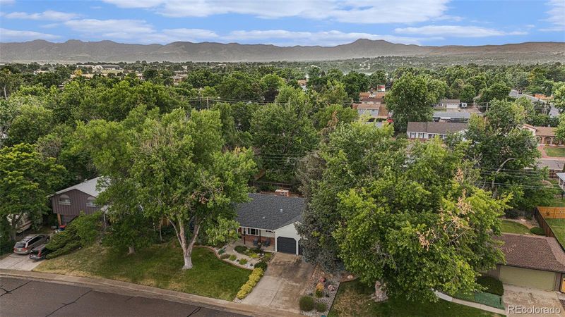 1737 S Field Ct, Lakewood, CO 80232