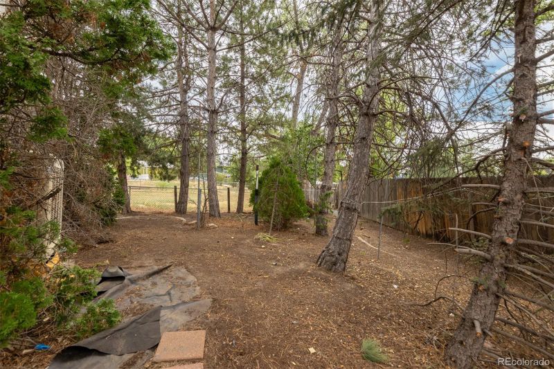907 Yucca Ct, Longmont, CO 80504