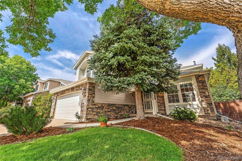 5905 S Meadow Lark Pl, Castle Rock, CO 80109