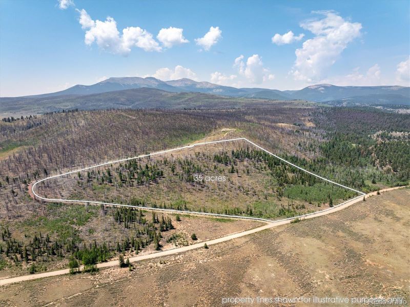637 Lynch Creek Ct, Fairplay, CO 80440