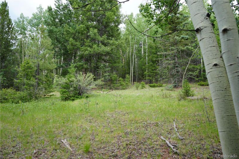 1406 Monarch Dr, Cripple Creek, CO 80813