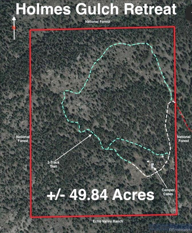 1667 Co Road 835, Bailey, CO 80421