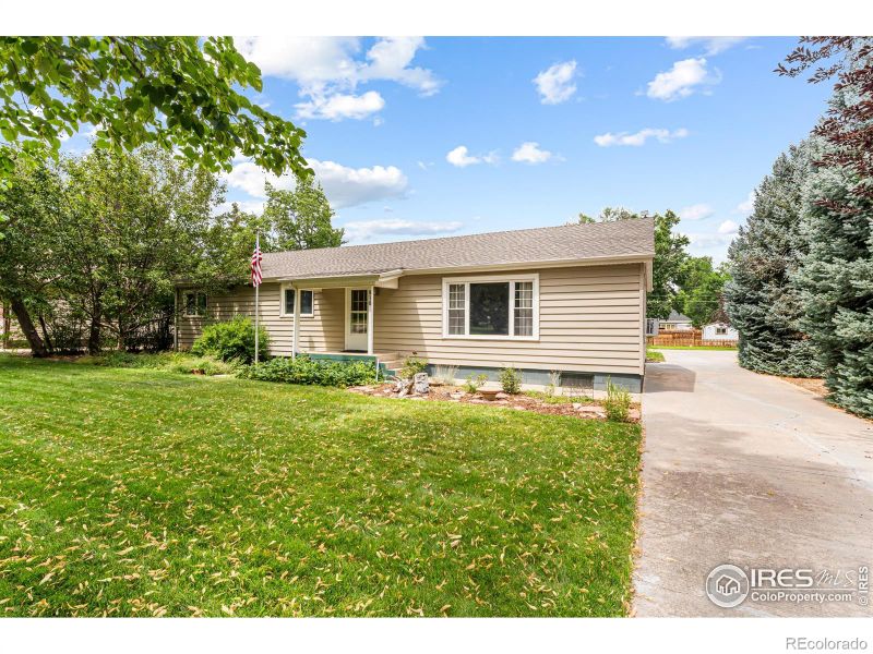 810 Elm St, Windsor, CO 80550