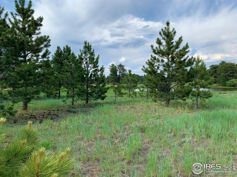 3 Fox Meadow Ln Lot 3, Red Feather Lakes, CO 80545