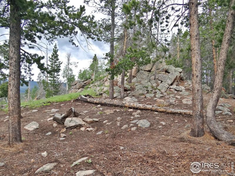 1921 Osage Trl, Red Feather Lakes, CO 80545