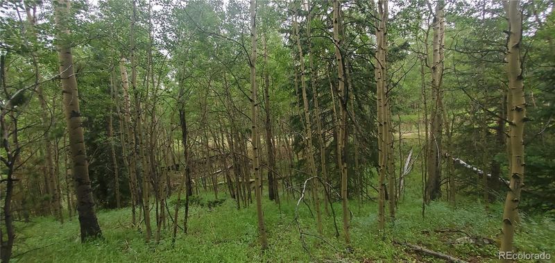 Lot 6882 Donna Rd, Fort Garland, CO 81133