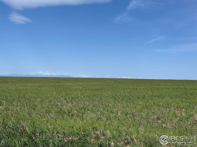 1 Tbd Ffd25 0004a County Road 15, Carr, CO 80612