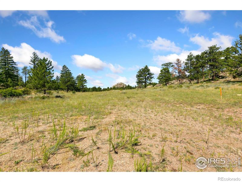 166 Red Cloud Peak Ct, Livermore, CO 80536