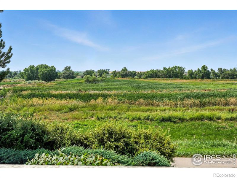 1601 Great Western Dr #L6, Longmont, CO 80501