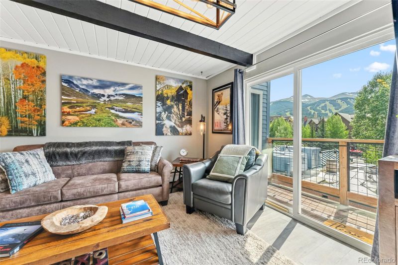 505 S Ridge St #302, Breckenridge, CO 80424
