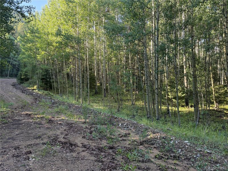 Lot 5331 Hull Rd Lot 5331, Fort Garland, CO 81133
