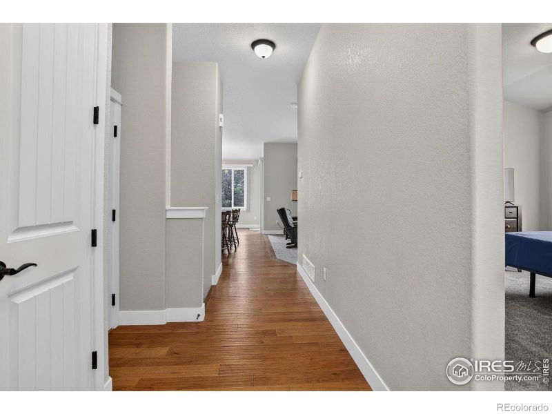874 Corn Stalk Dr, Windsor, CO 80550