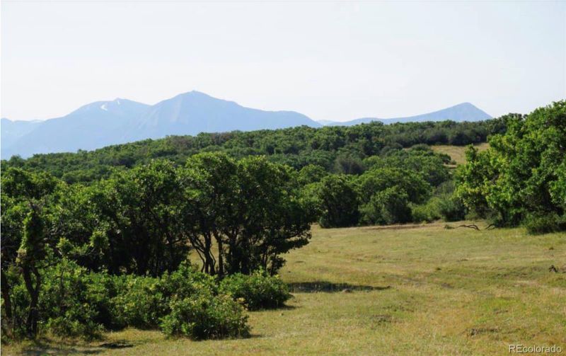18965 Johnson Rd, Paonia, CO 81428
