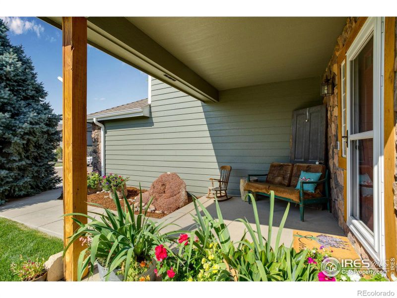 780 Durum St, Windsor, CO 80550