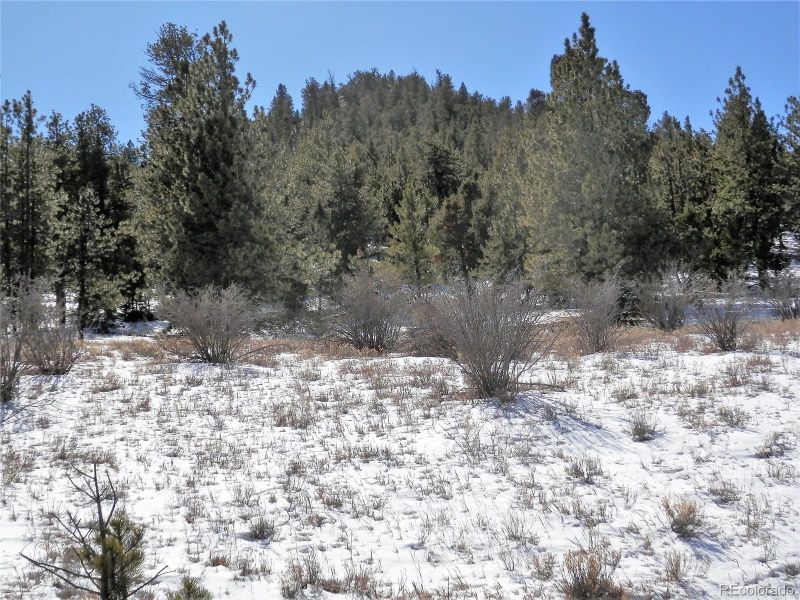 Lot 29 Chickadee Dr Lot 29, Hartsel, CO 80449