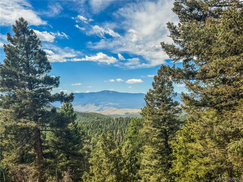 12853 S Wamblee Valley Rd, Conifer, CO 80433