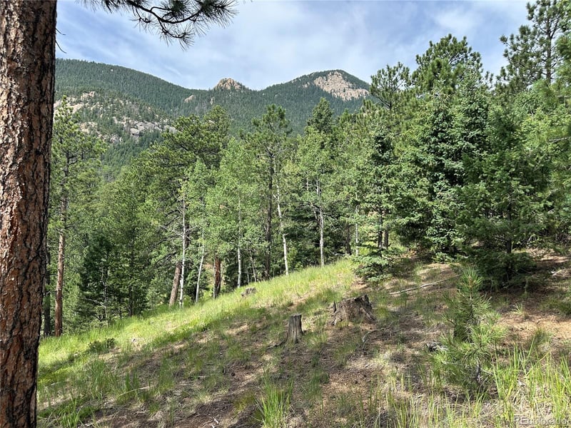 116 Happy Valley, Manitou Springs, CO 80829