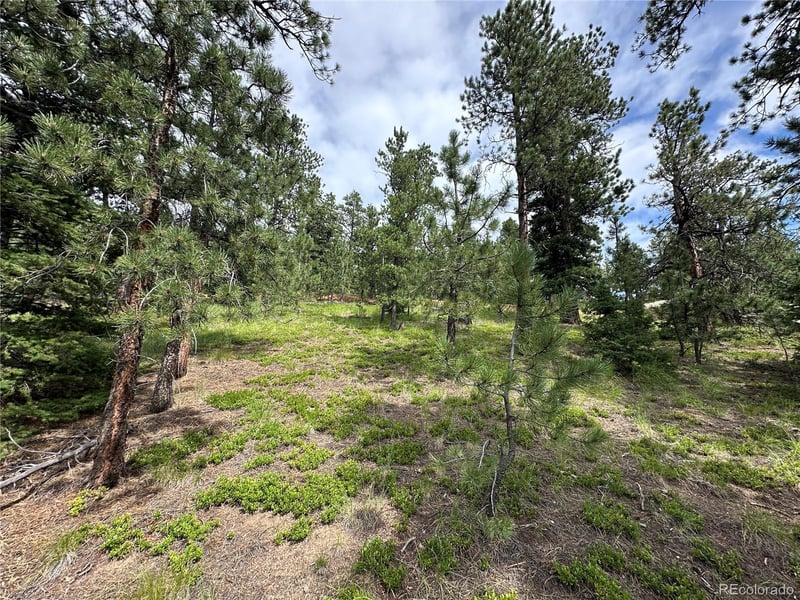 116 Happy Valley, Manitou Springs, CO 80829