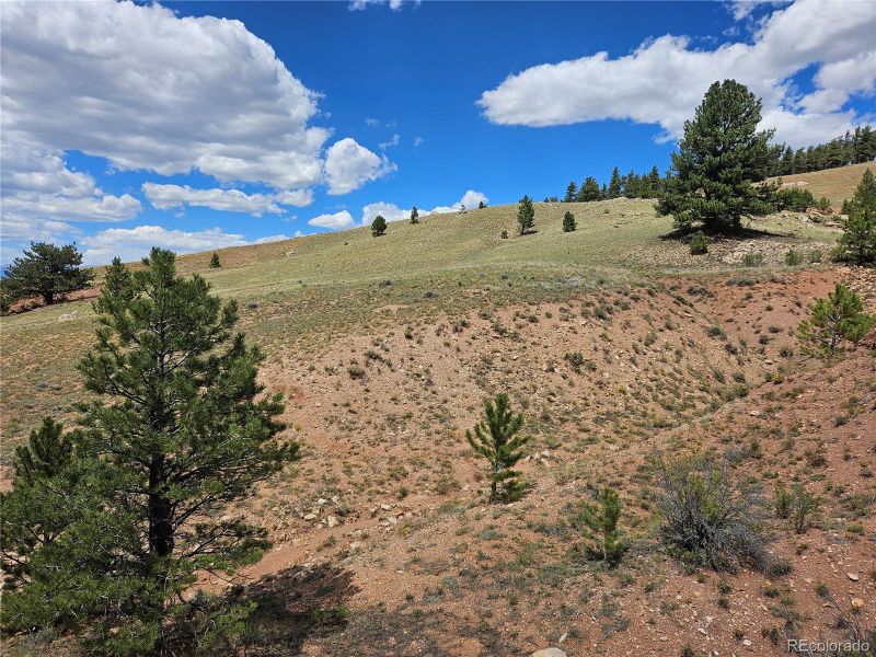0 Fernando Trl, Hartsel, CO 80449