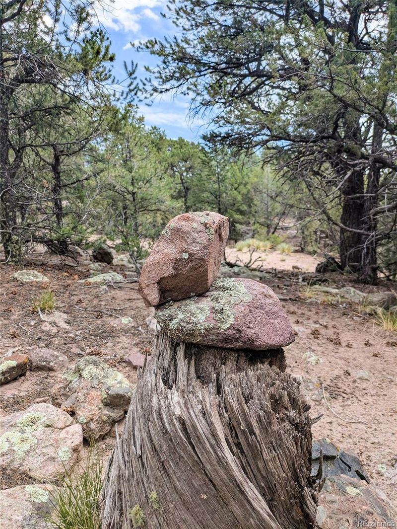 600 N Goldmine, Crestone, CO 81131