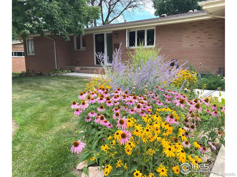 1330 W 6th St, Loveland, CO 80537