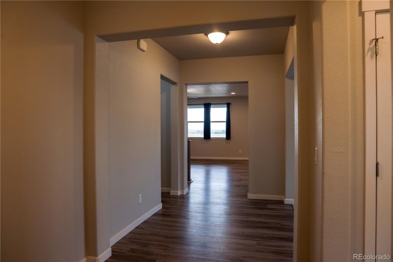 1663 Corby Dr, Windsor, CO 80550