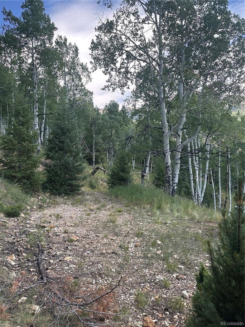 Calkins, Jasper, CO 81132