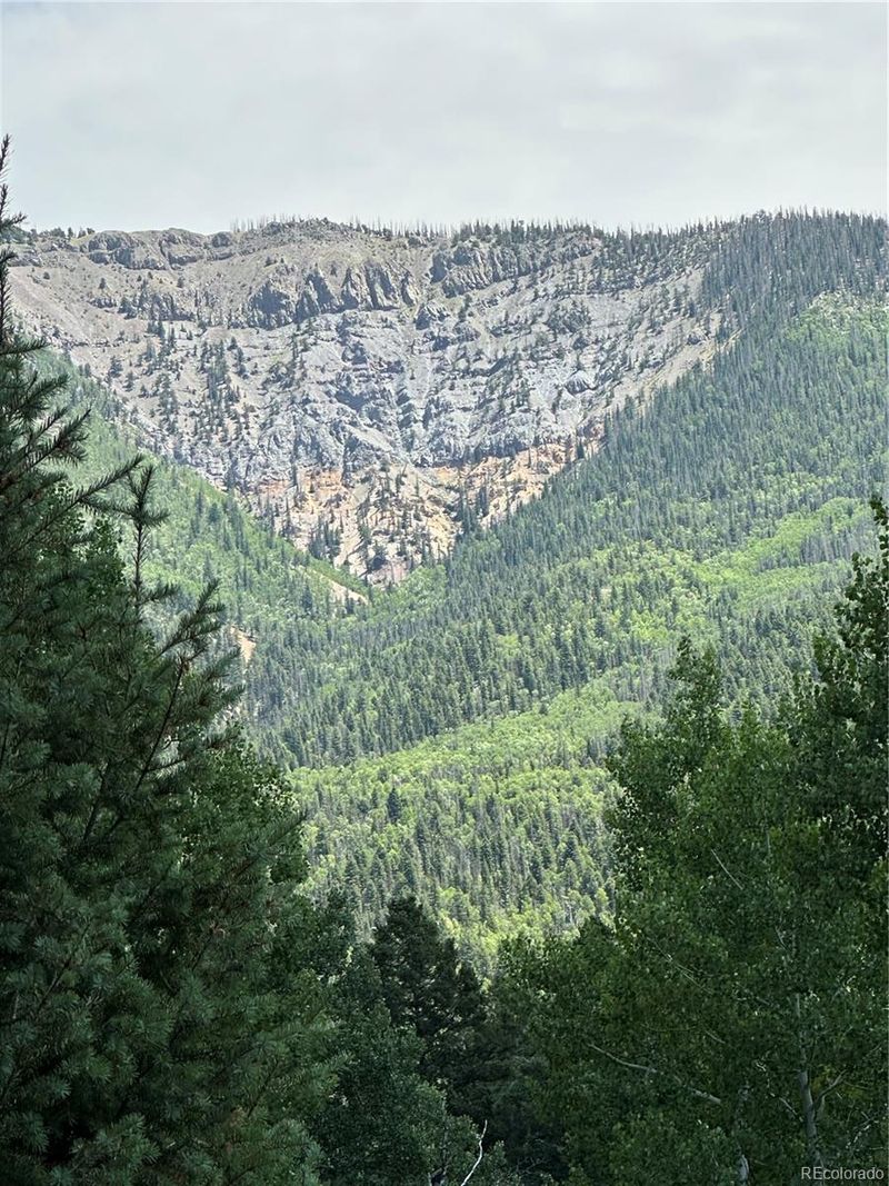 Calkins, Jasper, CO 81132