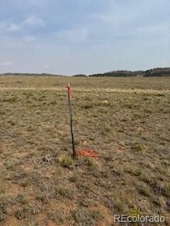 1186 Mesa Rd Lot 26, Hartsel, CO 80449