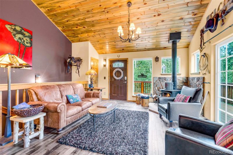 1122 High Creek Rd, Fairplay, CO 80440