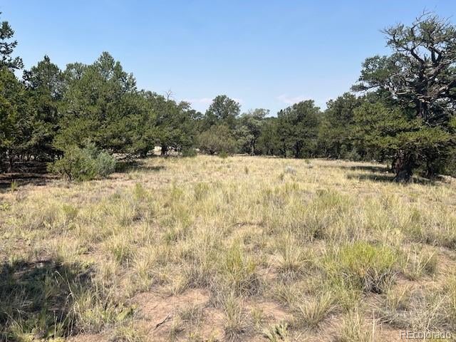 2158 Indian Well Way, Crestone, CO 81131
