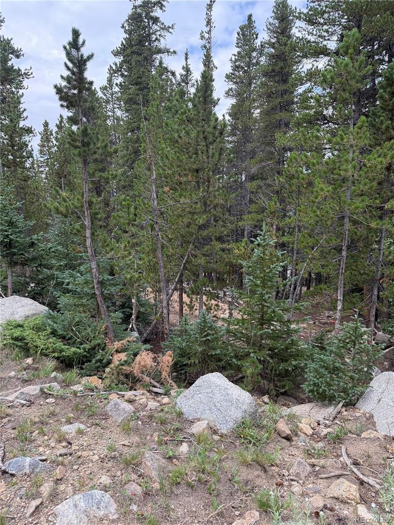 0179 Mine Rd, Idaho Springs, CO 80452